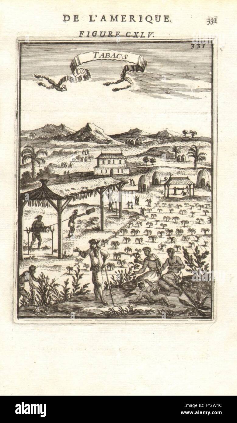 WEST INDIES: Tobacco plantation & slaves. 'Tabacs'. Caribbean. MALLET, 1683 Stock Photo