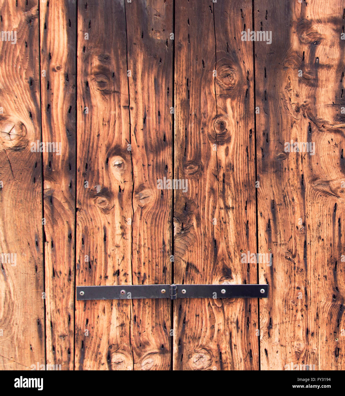 old wooden door background. closeup, natural oak tree planks surface. weathered, rustic wood material. brown color textured wall Stock Photo