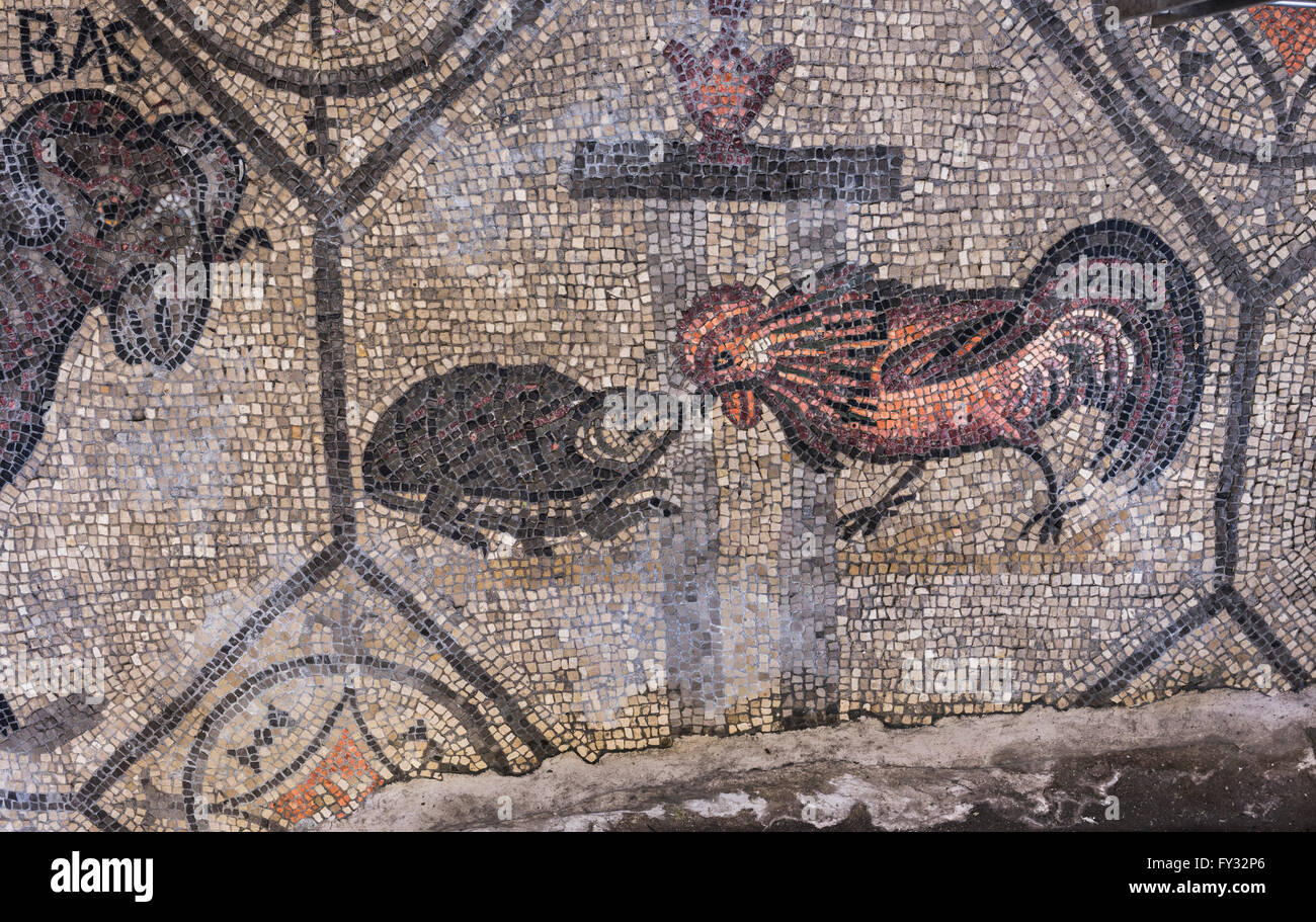 Early Christian mosaic with animal symbolism, 4th century, exposed in Romanesque Basilica, Aquileia, Udine province Stock Photo