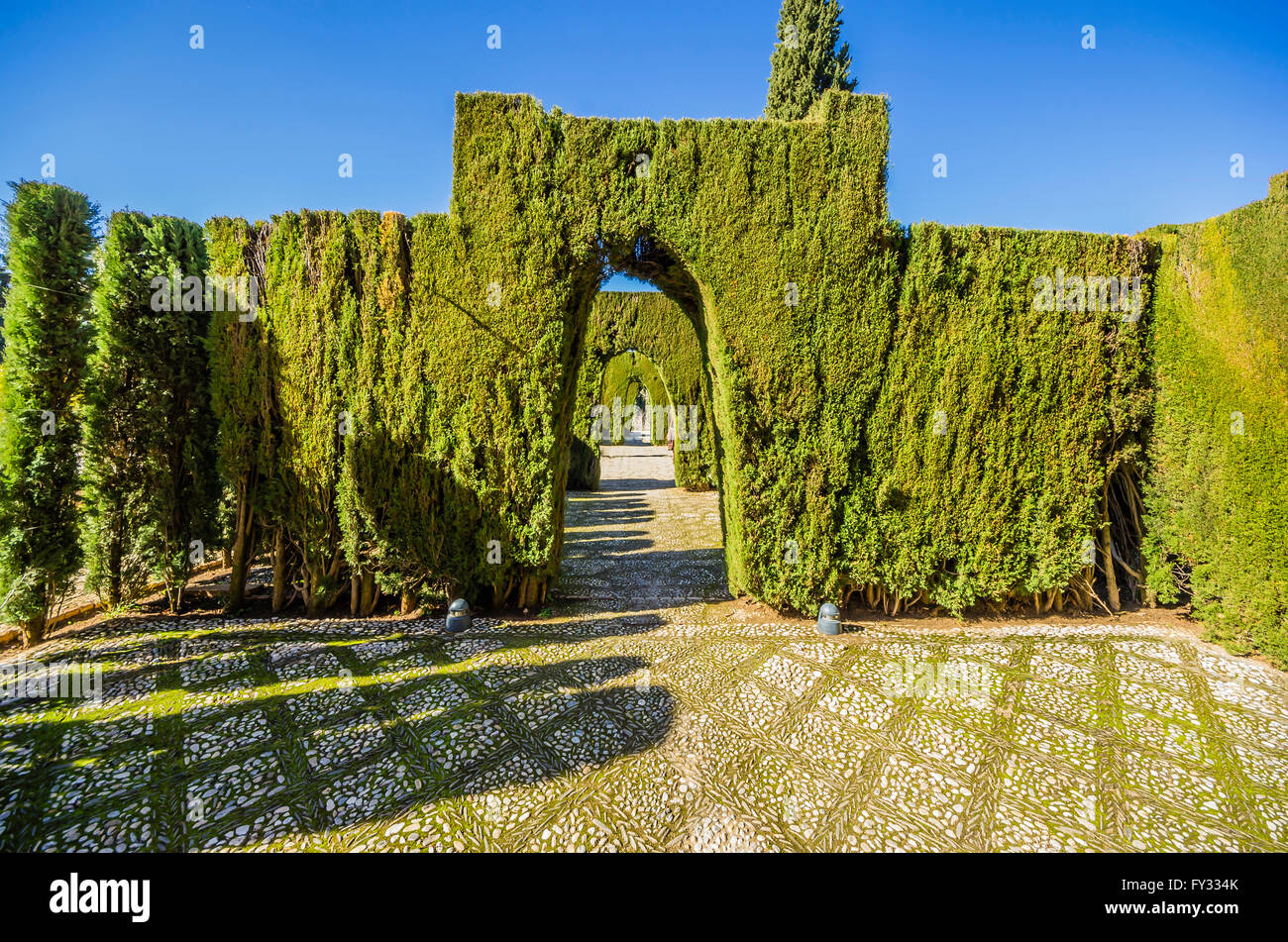 Garden, Alhambra, Granada, Andalucía, Spain Stock Photo