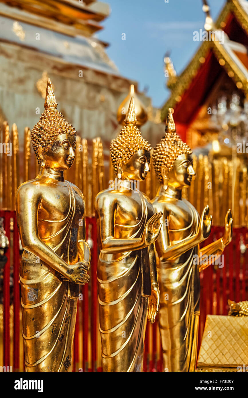 Gold Buddha statues in Wat Phra That Doi Suthep Stock Photo - Alamy