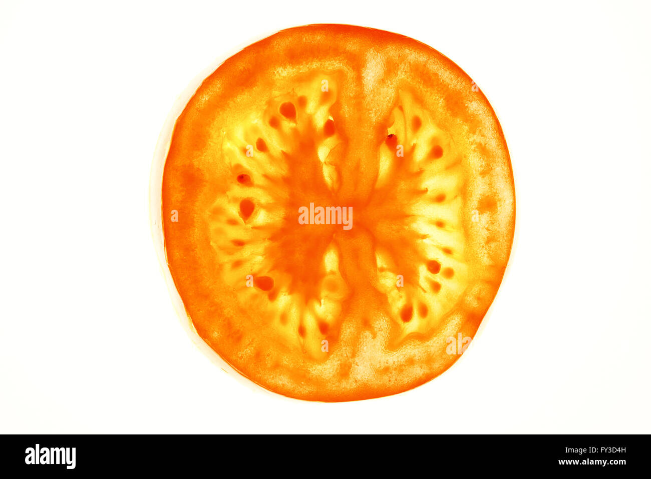 one tomatoe slice on white background Stock Photo