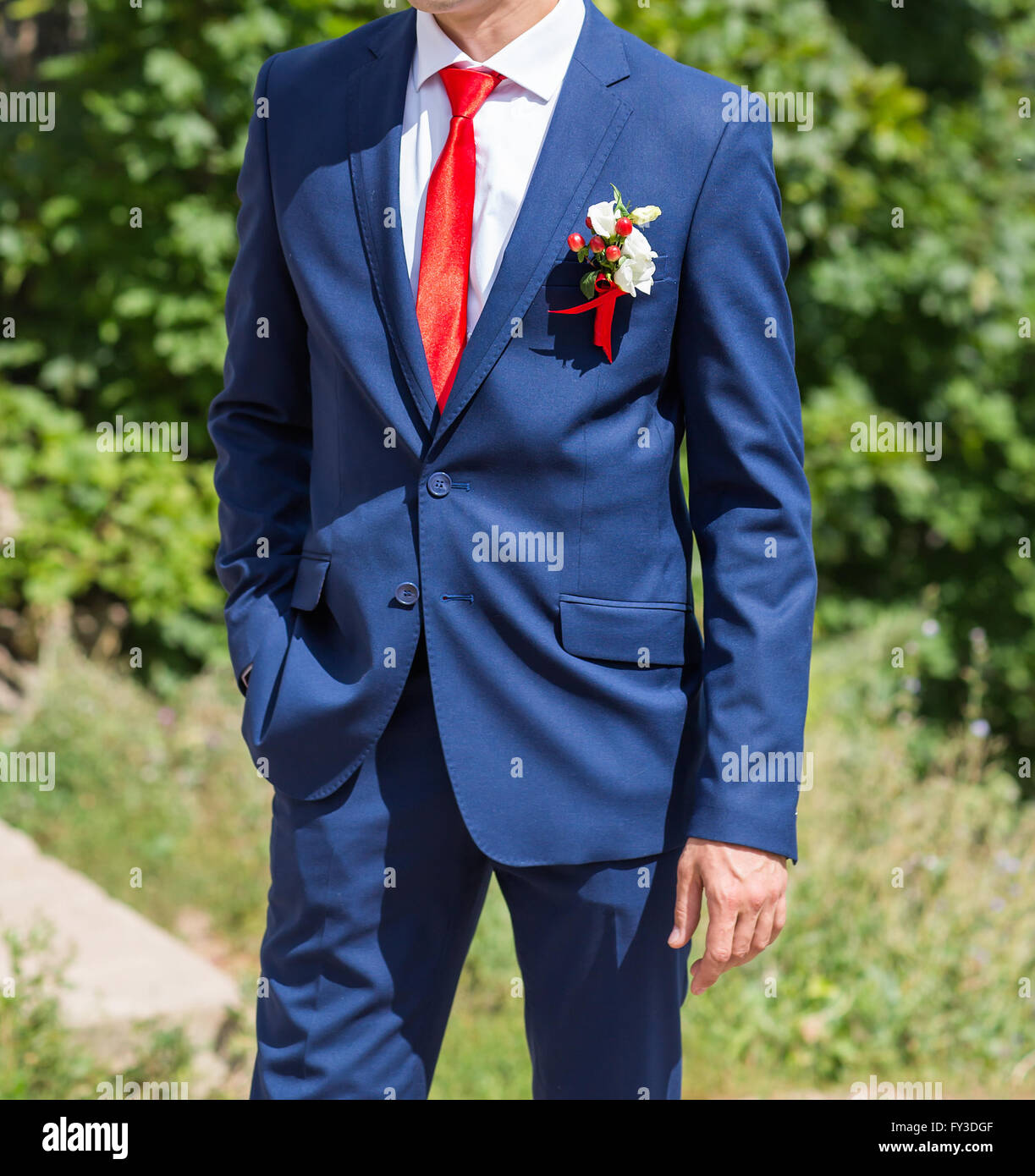 groom in the wedding suit Stock Photo - Alamy