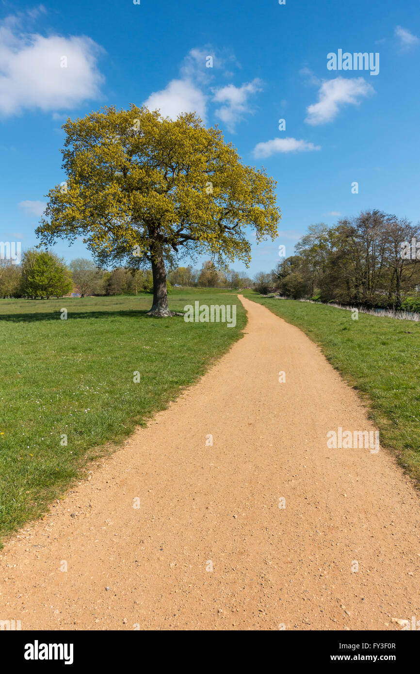 Off Road Cycle Route Walking Footpath Canterbury to Chartham Stock Photo