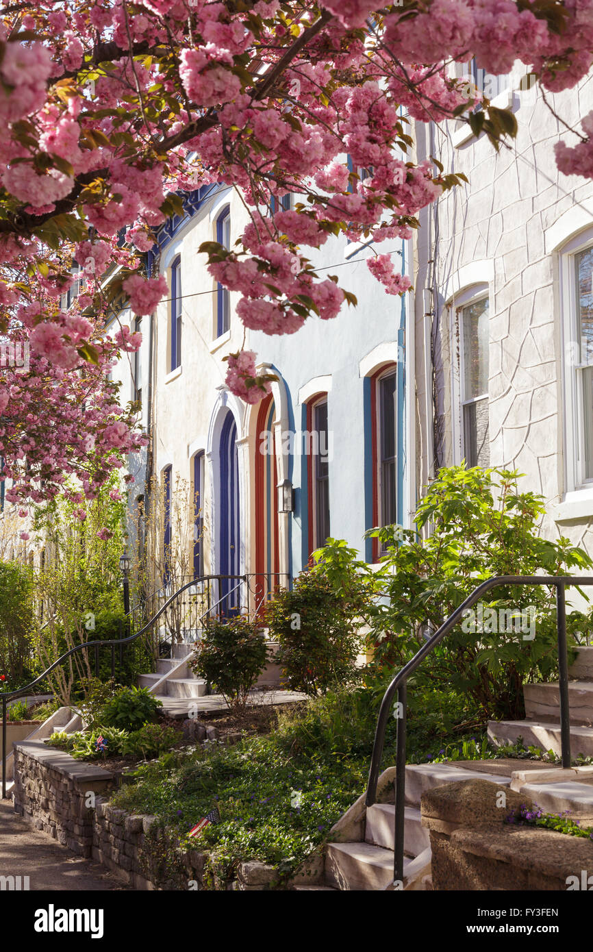 Cute homes in Fairmount neighborhood of Philadelphia, Pennsylvania, USA. Stock Photo