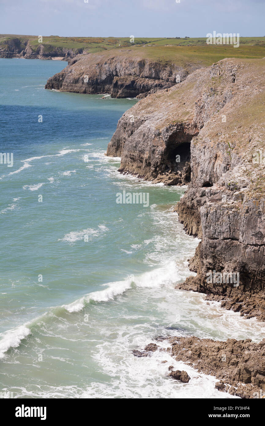 Cliff top view of the coastline at Stackpole Pembrokeshire Wales Stock Photo