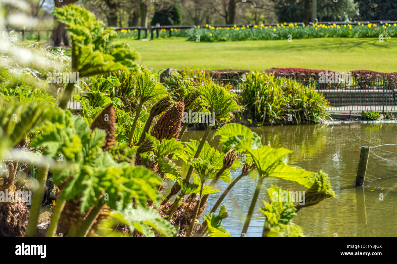 A view of Walton Hall Gardens, Warrington Stock Photo Alamy