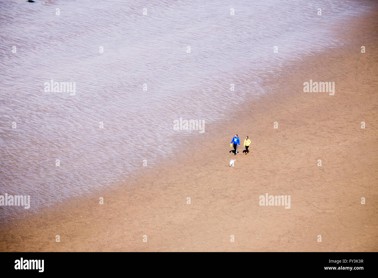 Couple with dog on a beach Stock Photo - Alamy