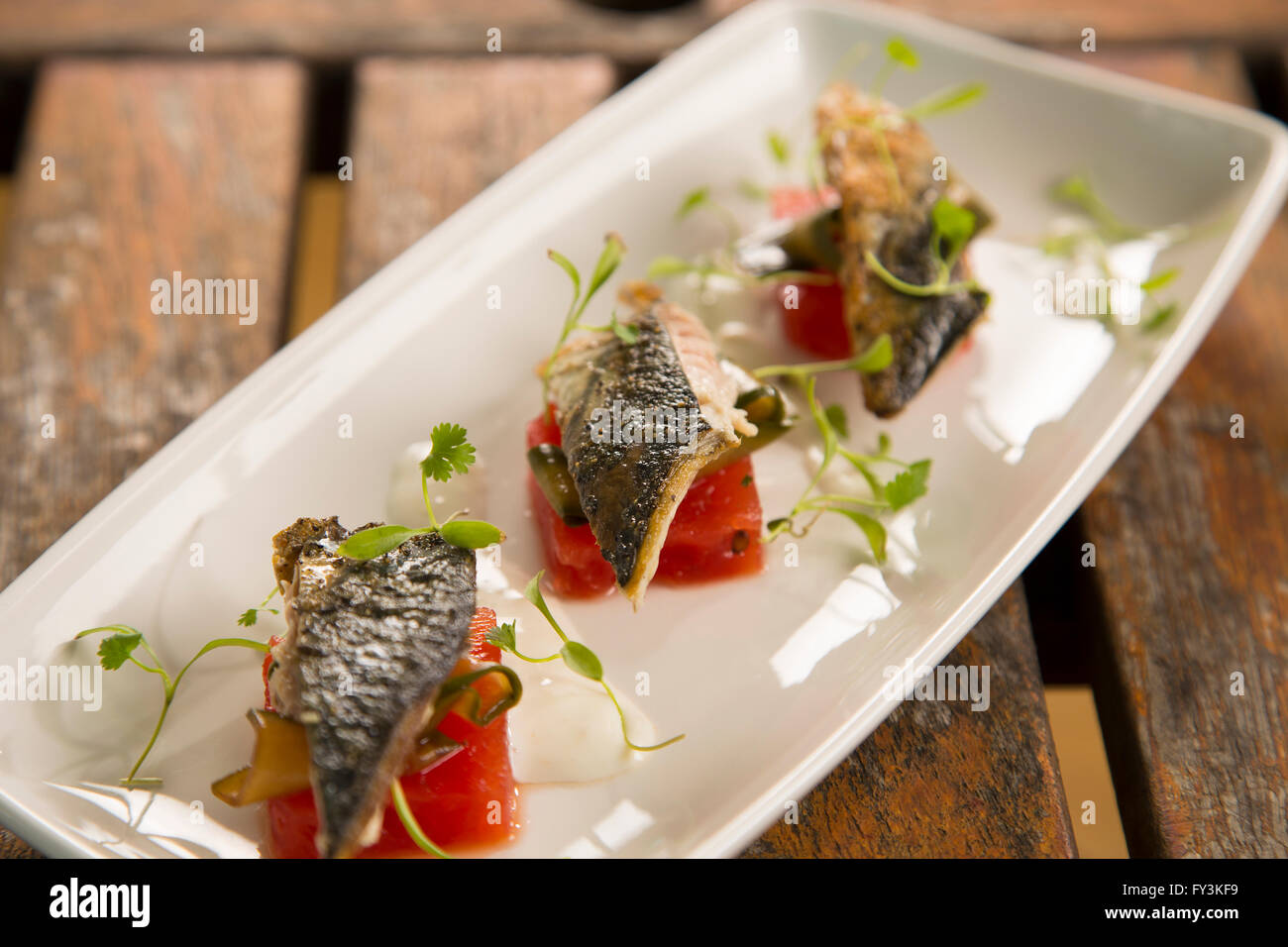 Seared Mackerel salad with compressed watermelon, pickled cucumber and horseradish yogurt Stock