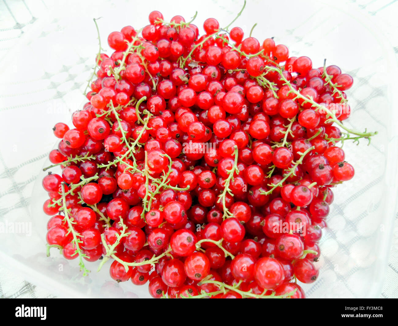 redcurrant on the table Stock Photo