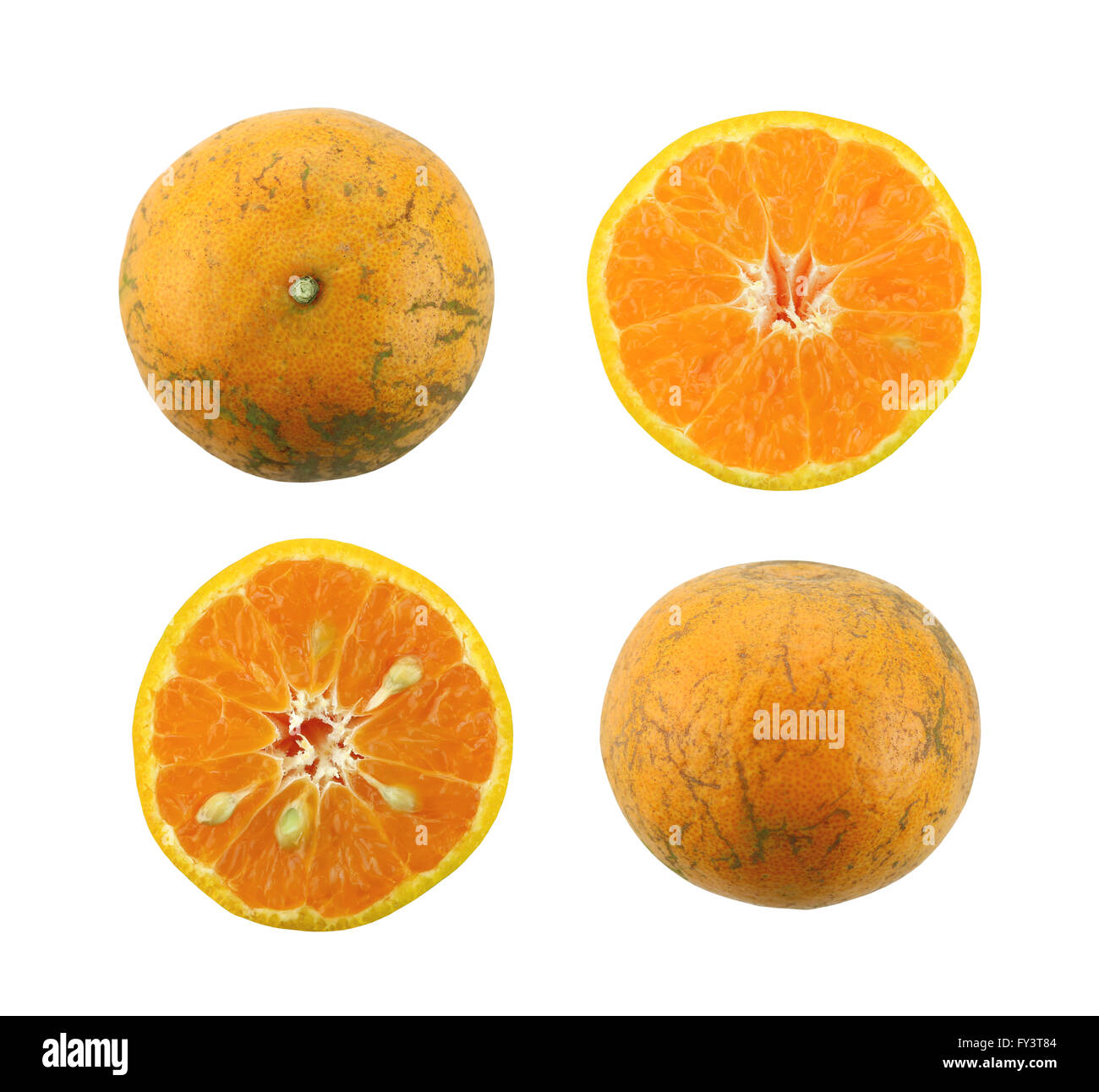 fresh tangerine orange isolated on white background and have clipping paths. Stock Photo