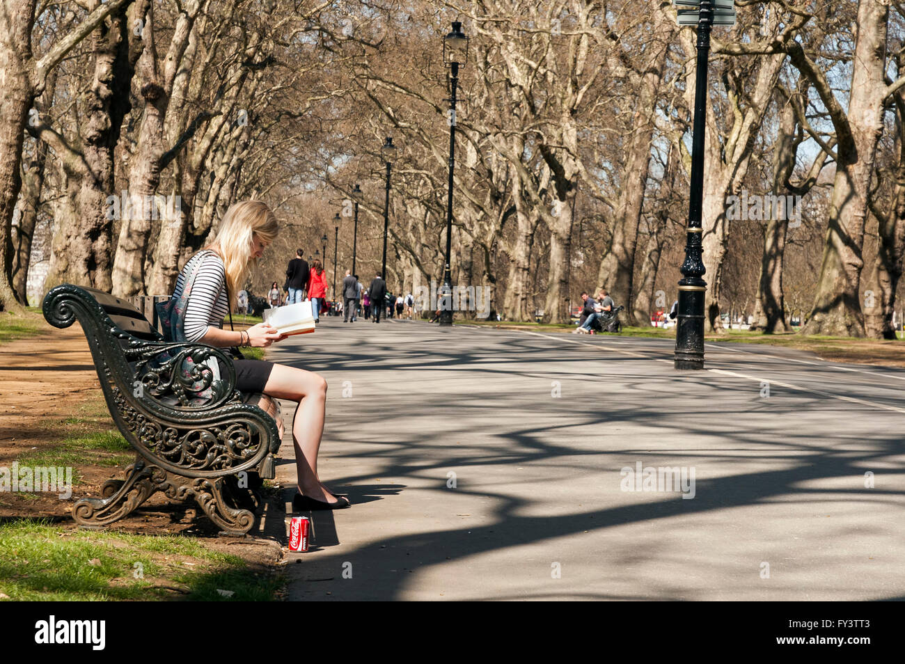 Young Woman Reading a Book in the Park Stock Photo
