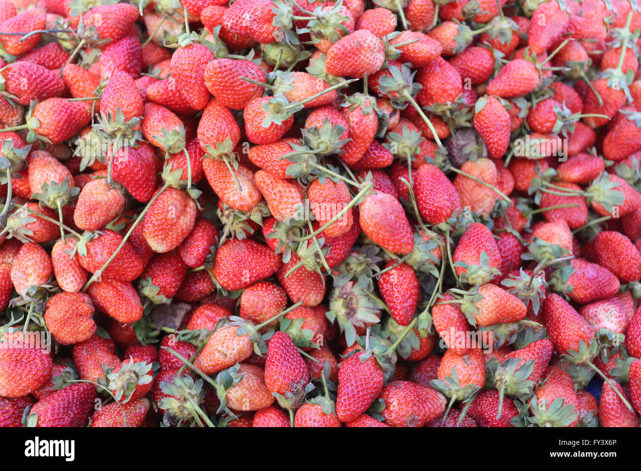 Pile of fresh strawberries of fruit background at farmers market stall ...