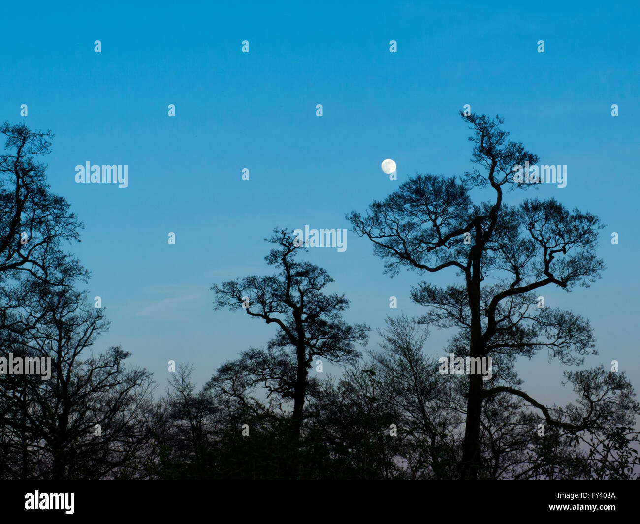 Moon behind night sky hi res stock photography and images Alamy
