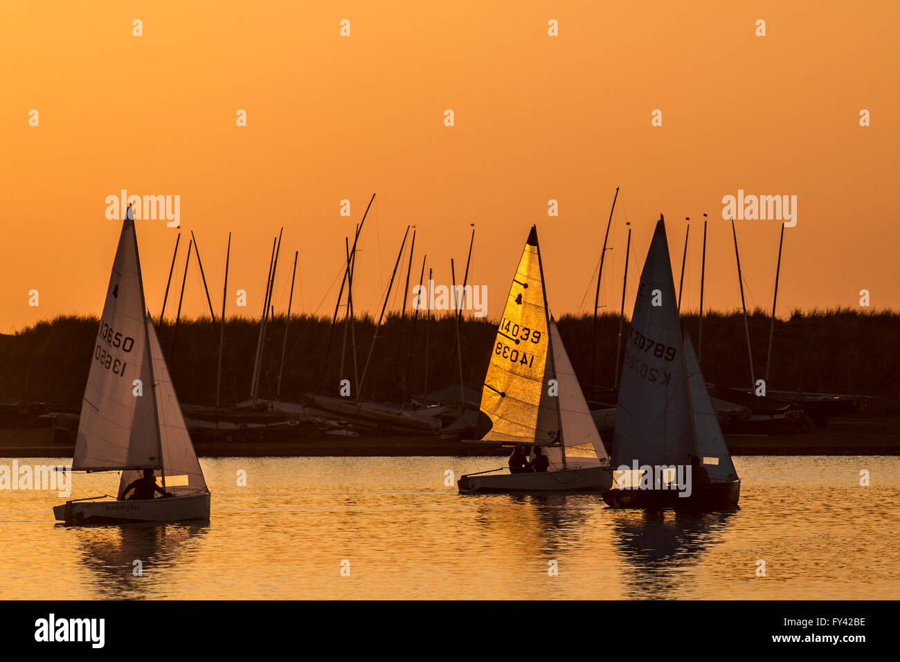 Yachtsman sailing dingy at sunset on Marine Lake. Southport, Marine Lake, Merseyside 20th April, 2016. UK Weather. Light Winds and a Golden Sunset over Marine Lake as 504 Ted James from Southport Sailing Club sails his RS Vareo yacht. The boat is a spinnaker powered single-hander. The stable hull, responsive rig and easy handling systems make the RS Vareo an attainable challenge in the right conditions- but not today. Stock Photo