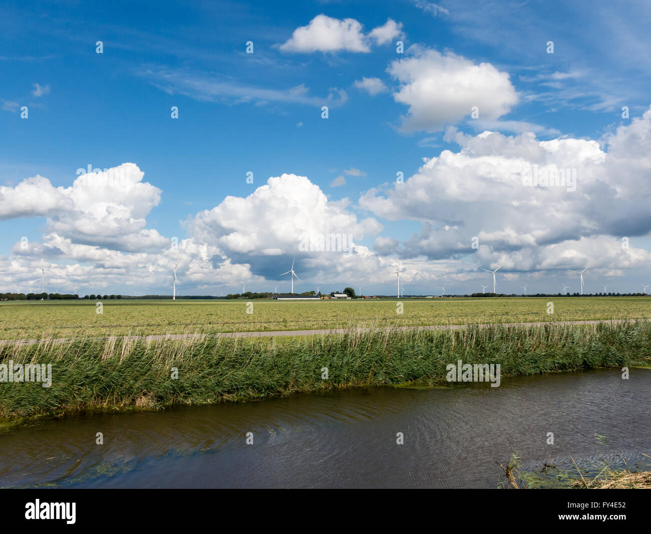 Rural polder landscape with ditch, farmland and wind turbines in the province of Flevoland, Netherlands Stock Photo