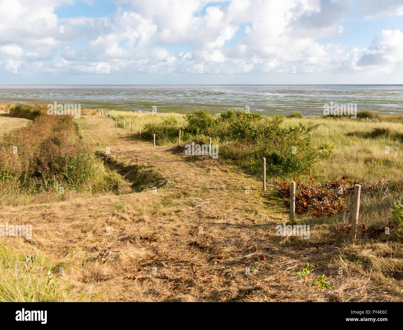 Landscape of the West Frisian island Vlieland towards the wetlands, tidal flats of the Waddensea in Friesland, Netherlands Stock Photo