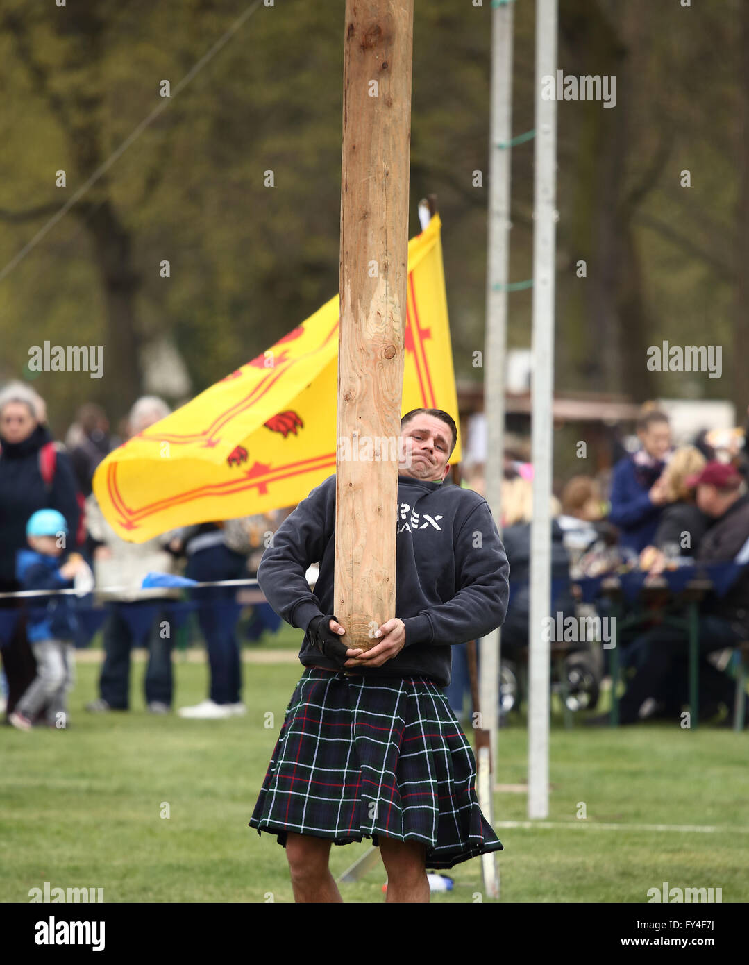 Kilted competitor about to toss the caber with Royal Standard of Scotland in the background. Stock Photo