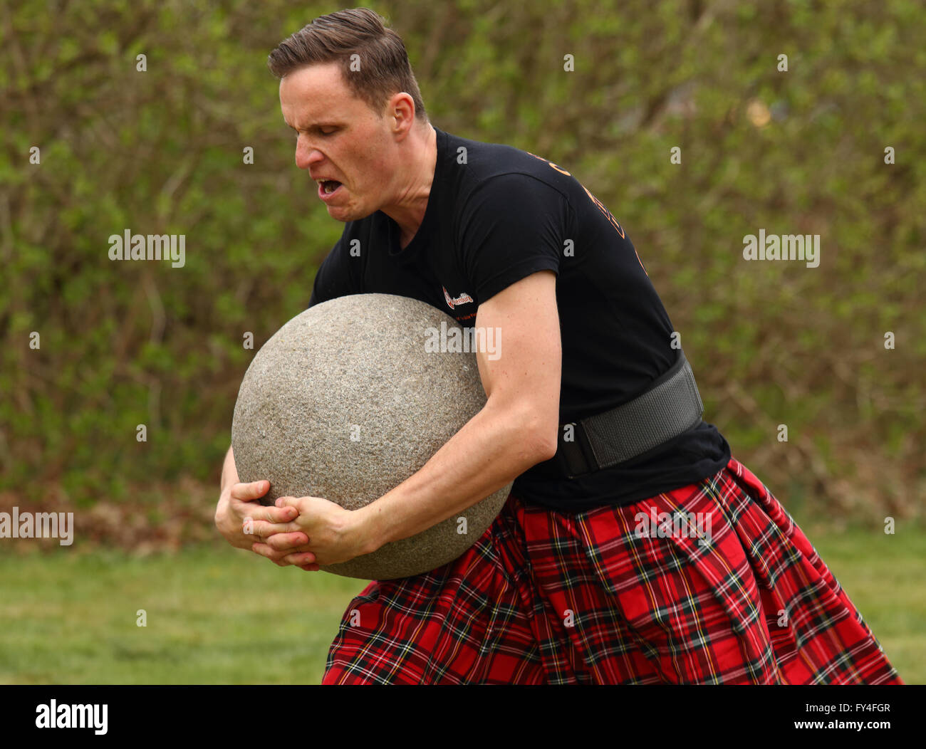 Male competitor in Highland games clutching 90 kg stone weight to his chest Stock Photo
