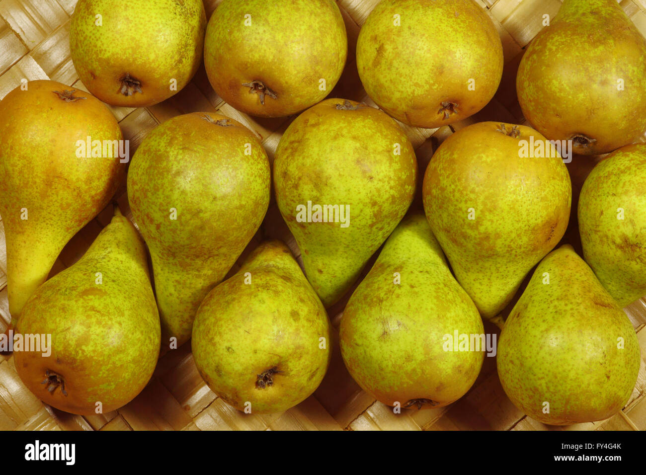 robust, ripe pears in autumn Stock Photo