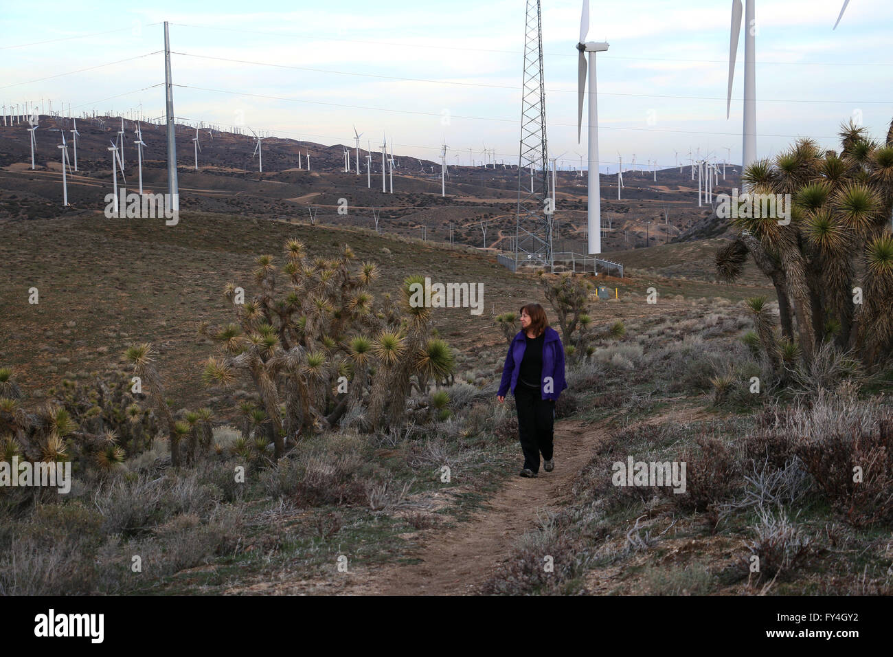 Hiker on Pacific Crest Trail with windmills Tehachapi California Stock Photo