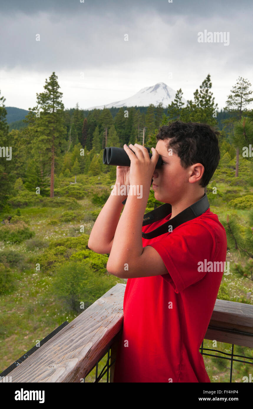 Boy, Aged 12, Bird-watching from Lookout Tower, Mt. Hood behind, Oregon Stock Photo