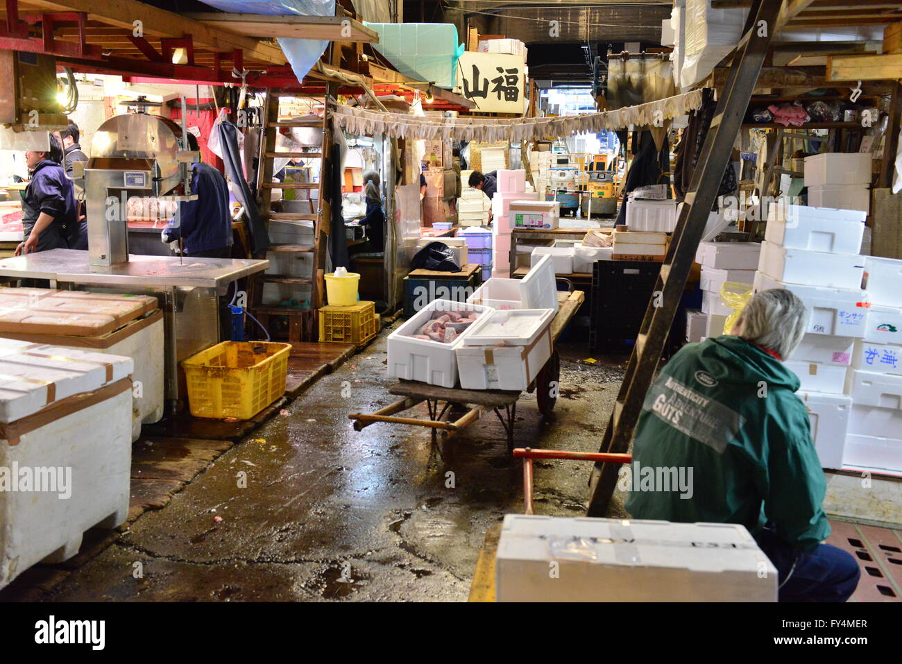 Tsukiji Fish Market, Tokyo, Japan Stock Photo - Alamy