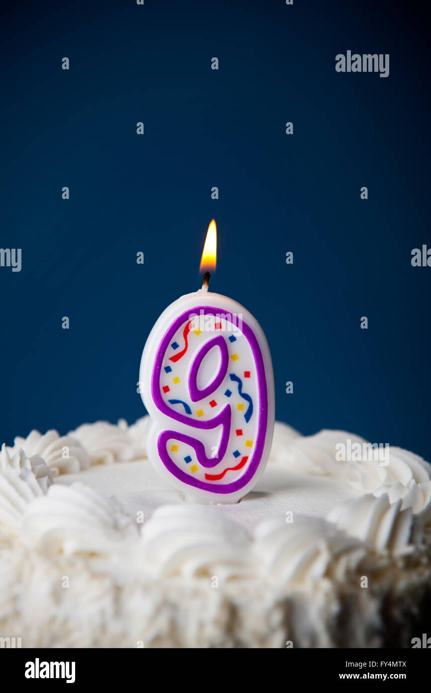 Pink 9 Number Candle White Premium Birthday Candle Anniversary Birthday Cake 