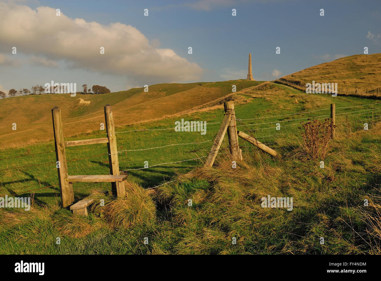 The Lansdowne monument and white horse on Cherhill hill (Oldbury castle