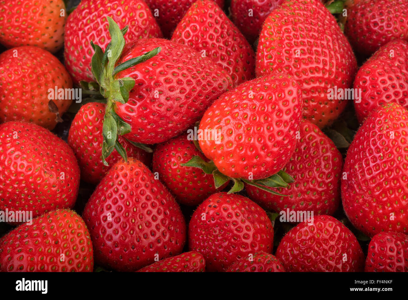 Fresh strawberry background. Ripe strawberry in close-up Stock Photo ...
