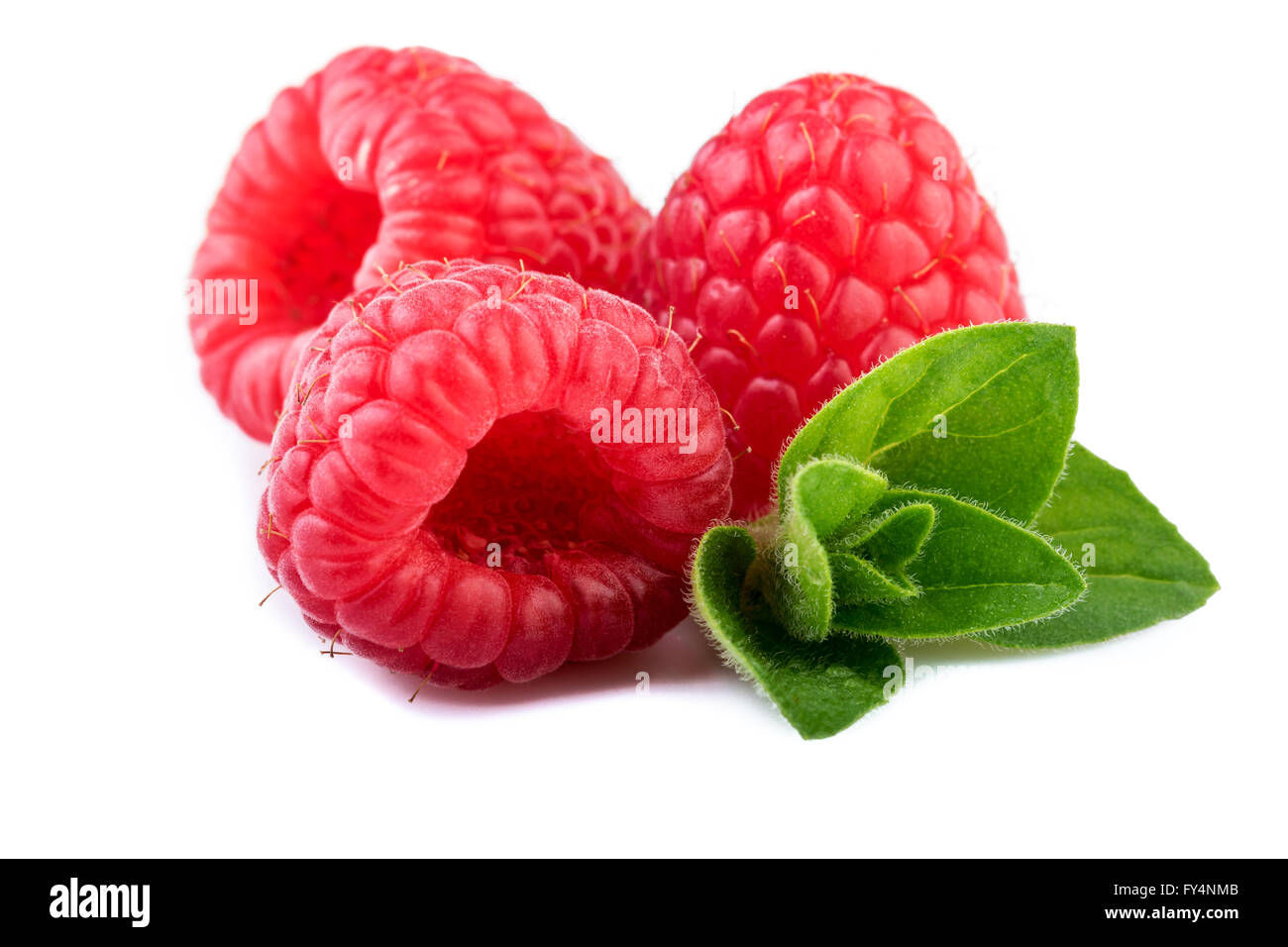 Raspberry with mint leaf close up Stock Photo