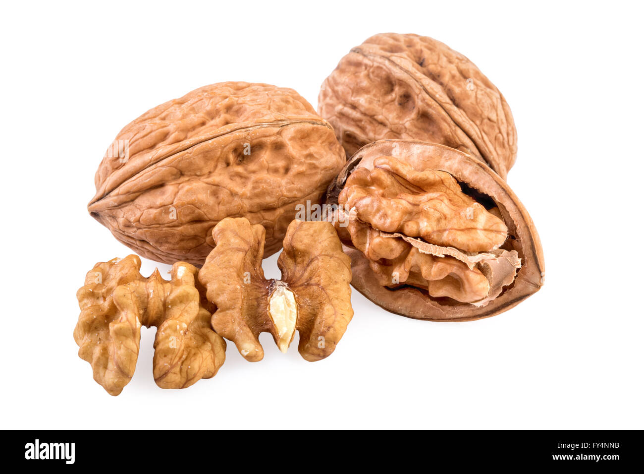 Walnuts whole and shelled. Walnuts isolated on white background. Stock Photo