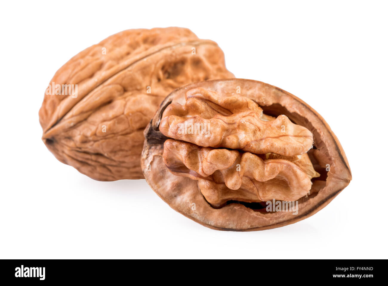 Two Walnuts whole and half in closeup. Stock Photo