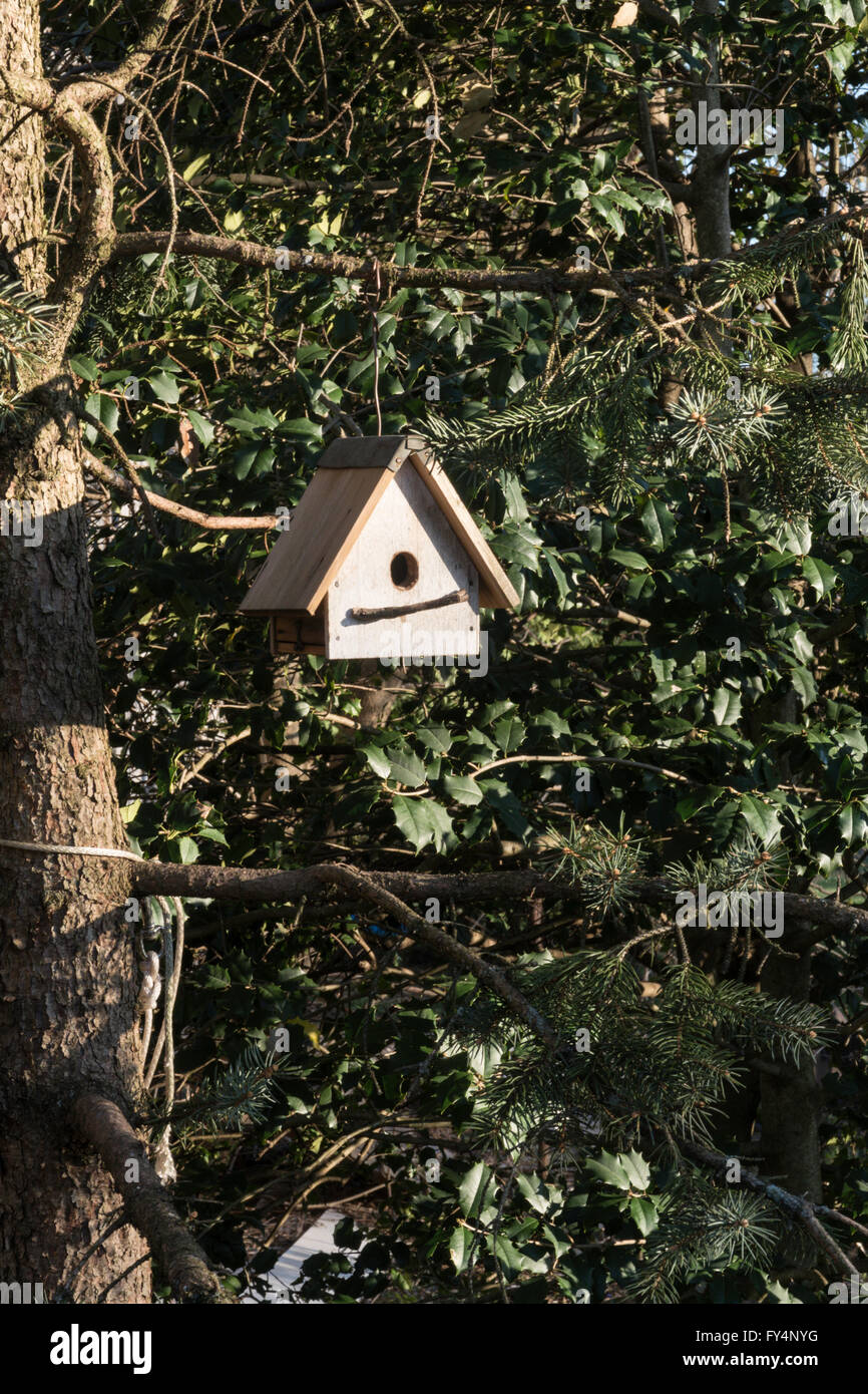 Birdhouse in Tee, Rural USA Stock Photo