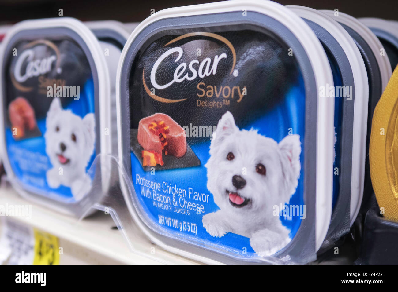 Cesar Dog Food Tins, Weis Supermarket, Doylestown, PA, USA Stock Photo