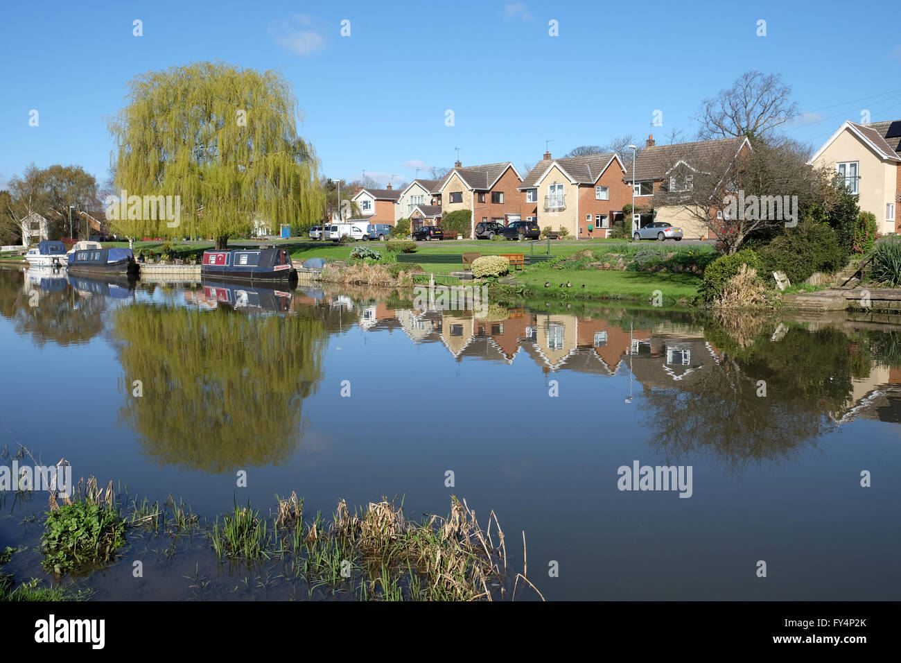 narrowboats on the river soar in barrow upon soar Stock Photo Alamy