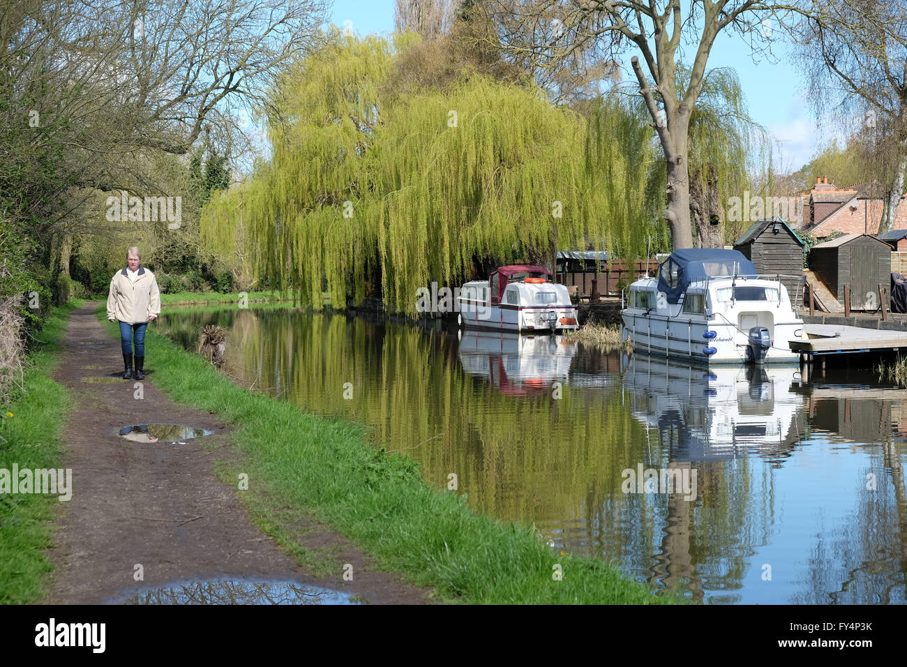 narrowboats on the river soar in barrow upon soar Stock Photo Alamy