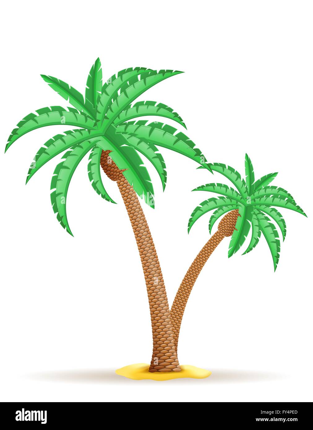 palm tree vector illustration isolated on white background Stock Vector ...