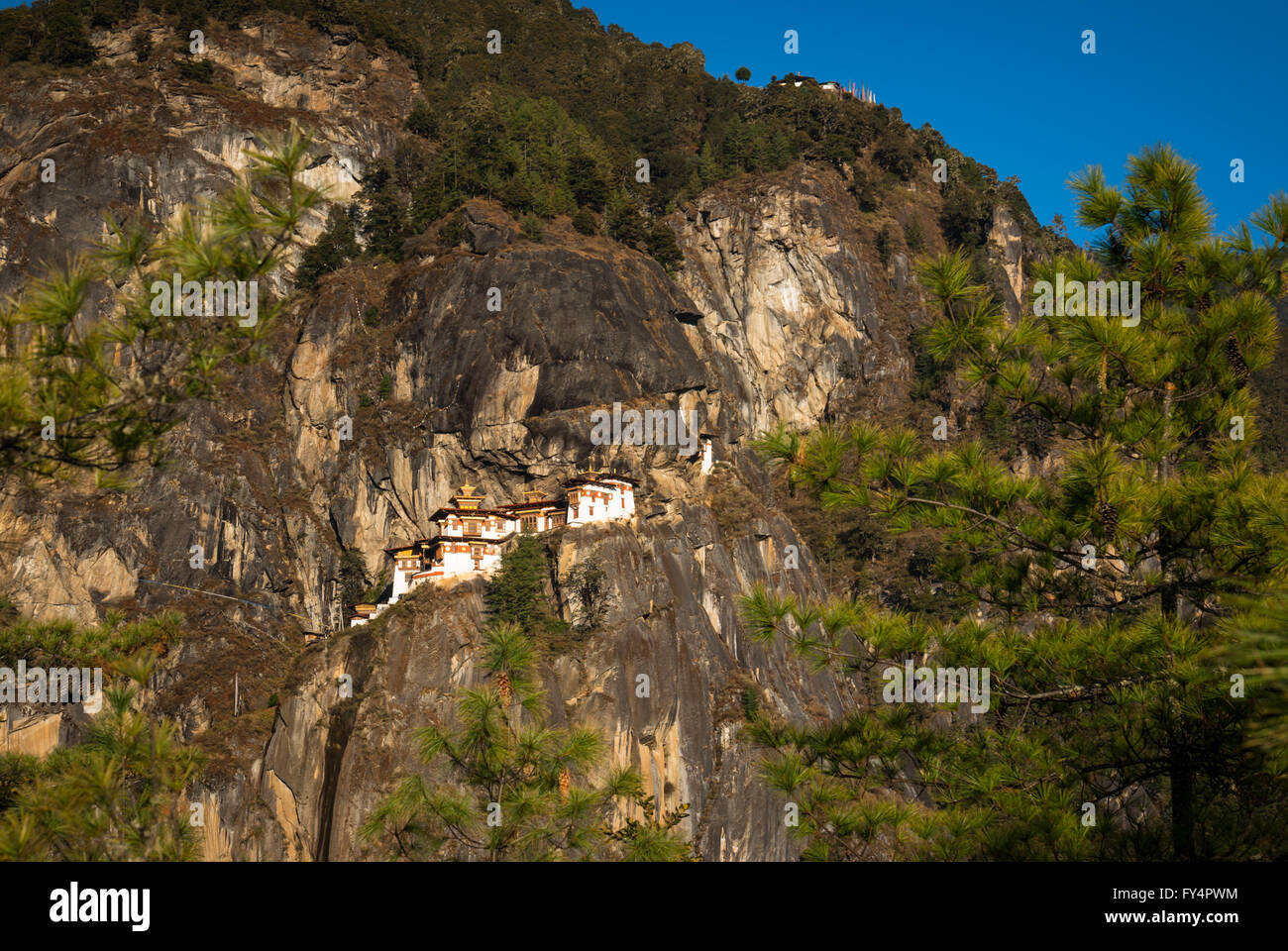 View through pine trees to Tiger's Nest (Taktshang) Monastery, perched on a cliff near Paro, Bhutan Stock Photo