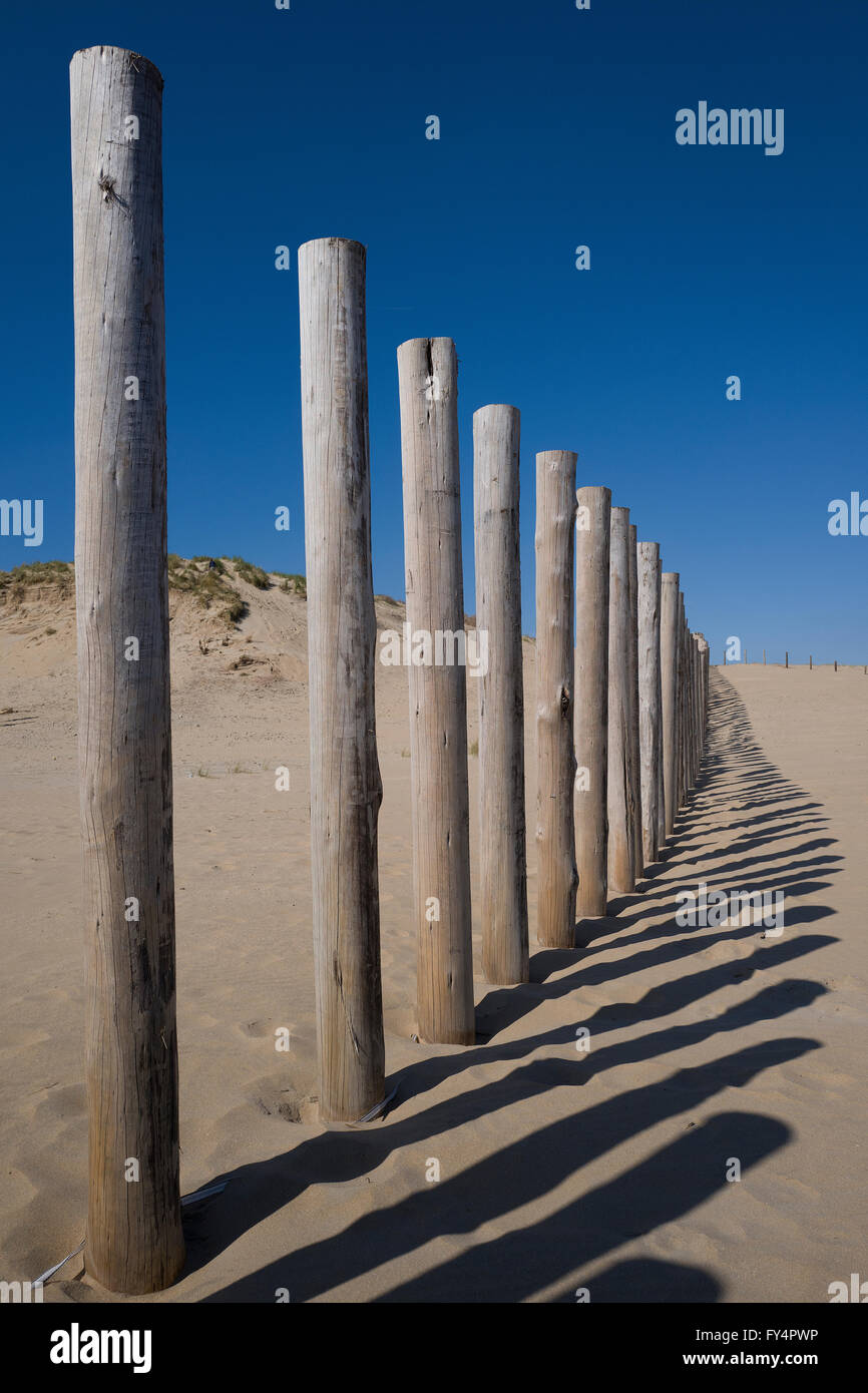 Dunes at the Dutch coast line Stock Photo - Alamy