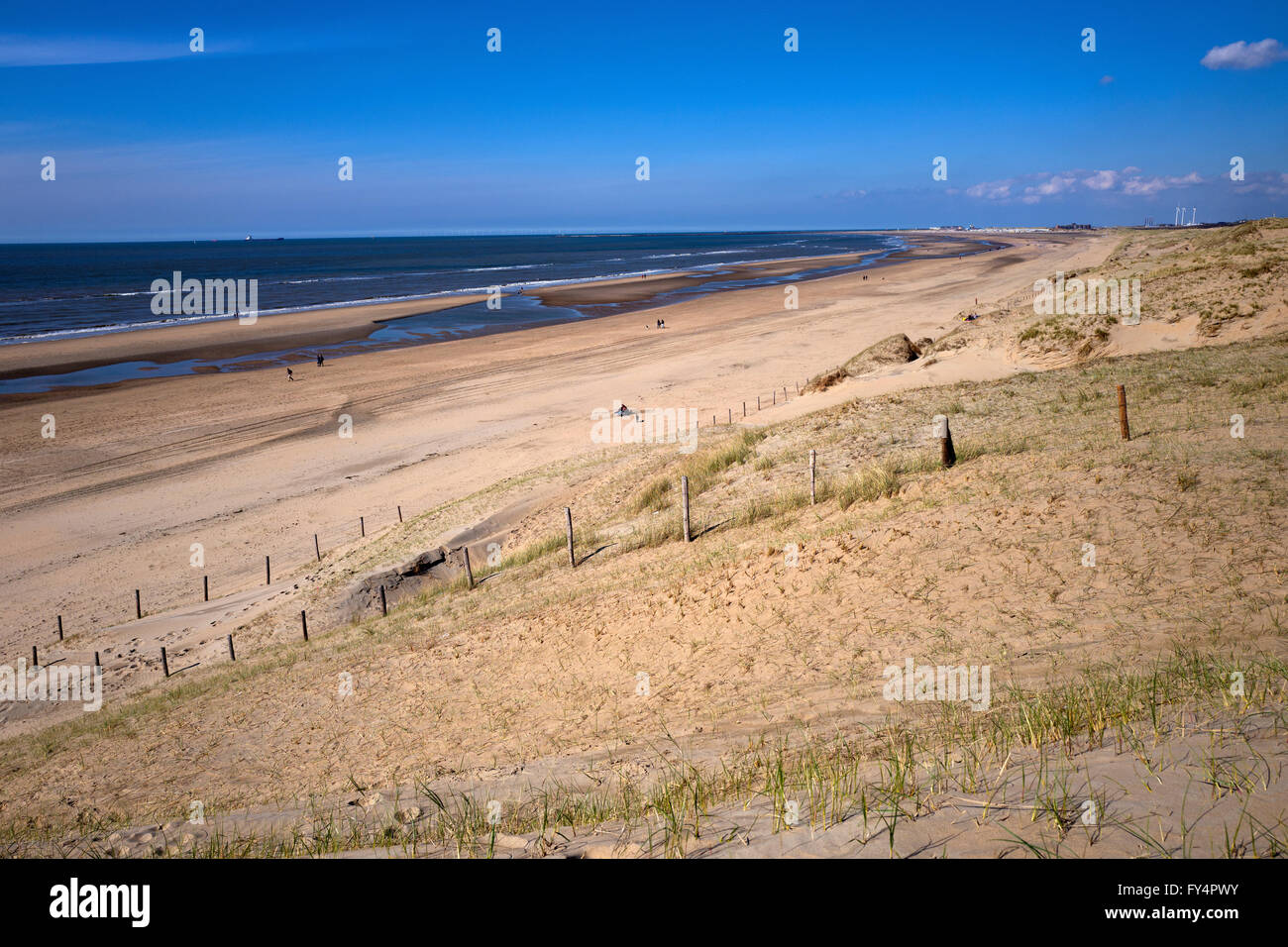 Dunes at the Dutch coast line Stock Photo - Alamy