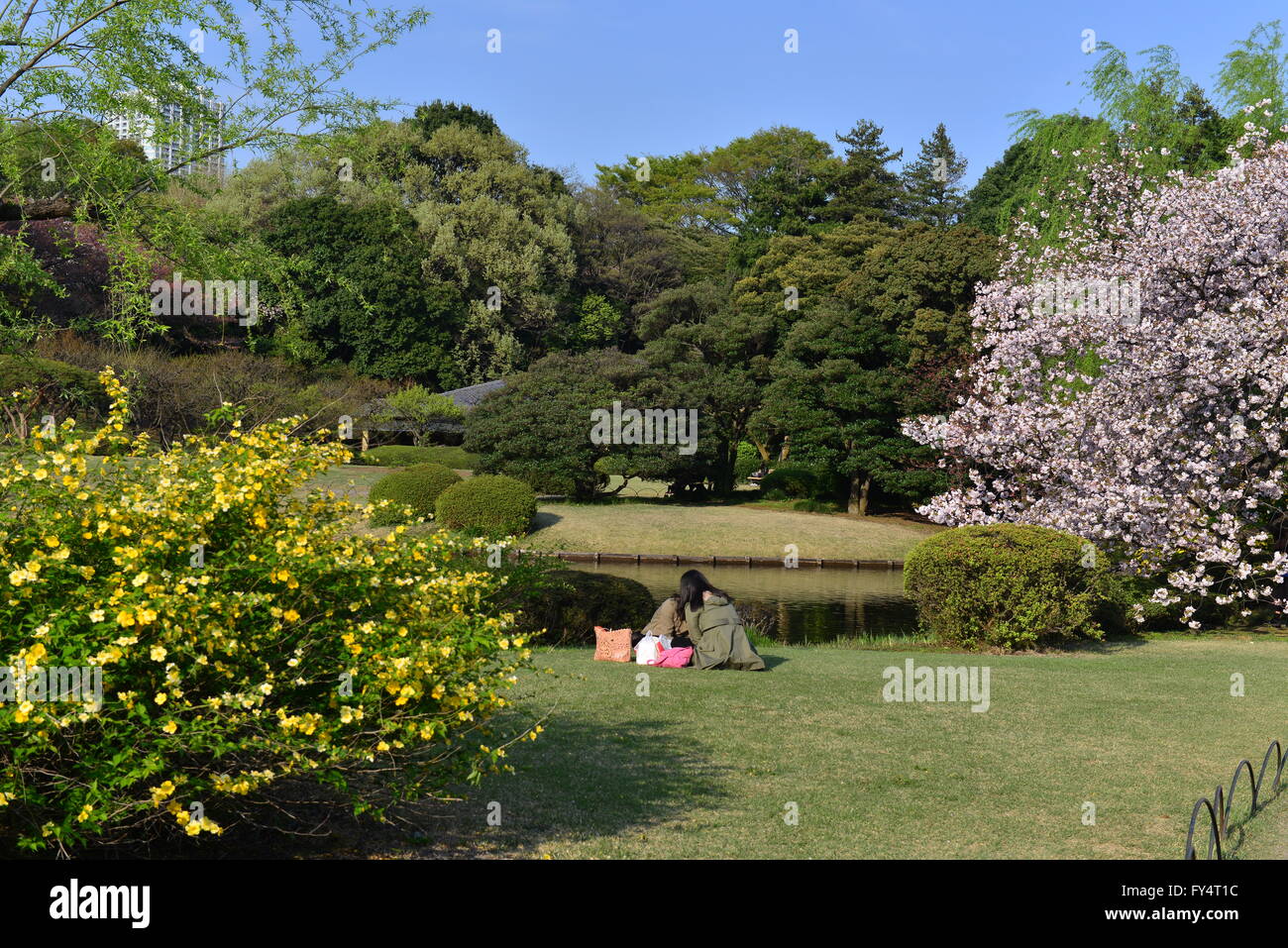 Shinjuku gyoen hanami hi-res stock photography and images - Alamy