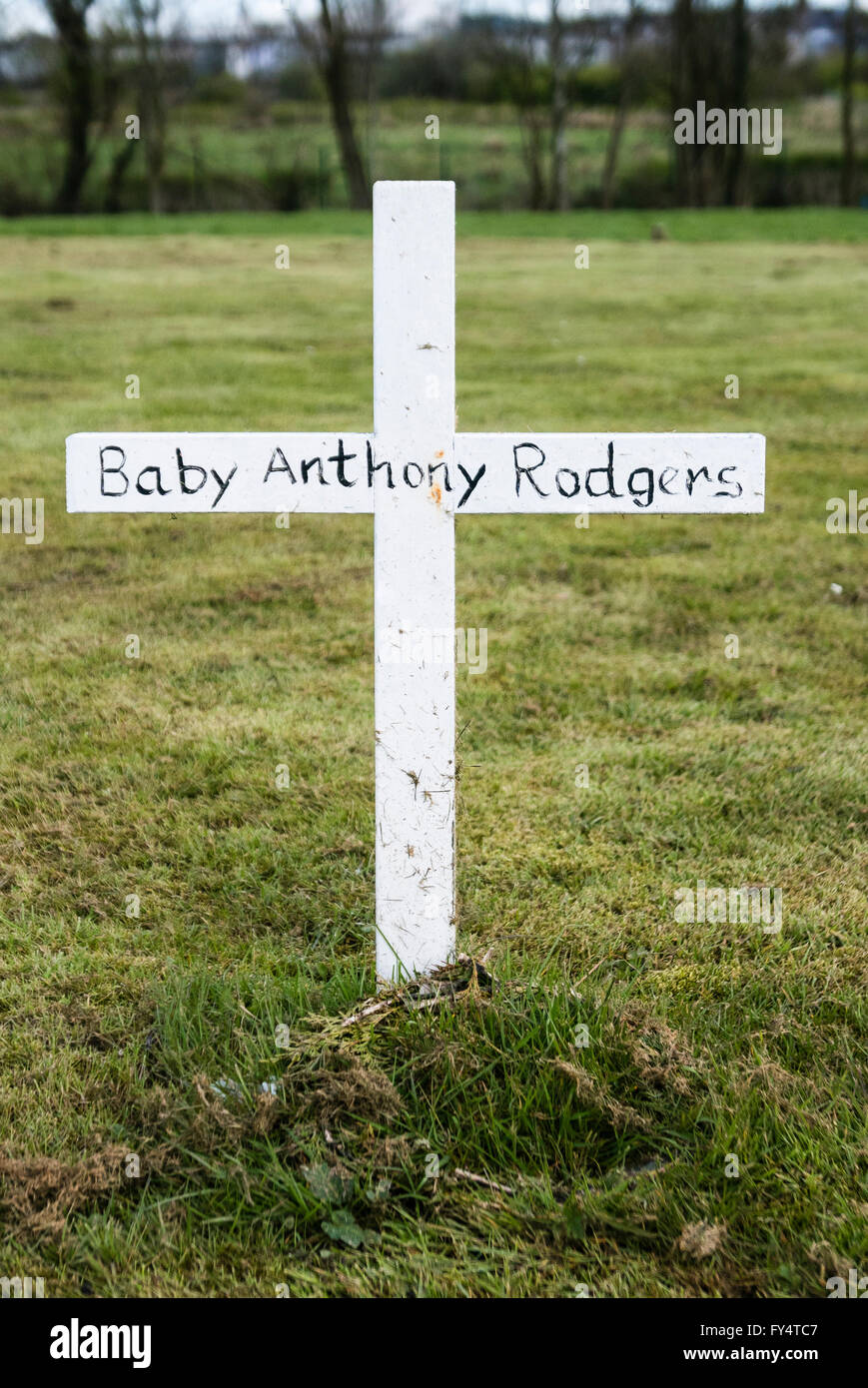 White crosses marking the graves of babies from local Irish Catholic