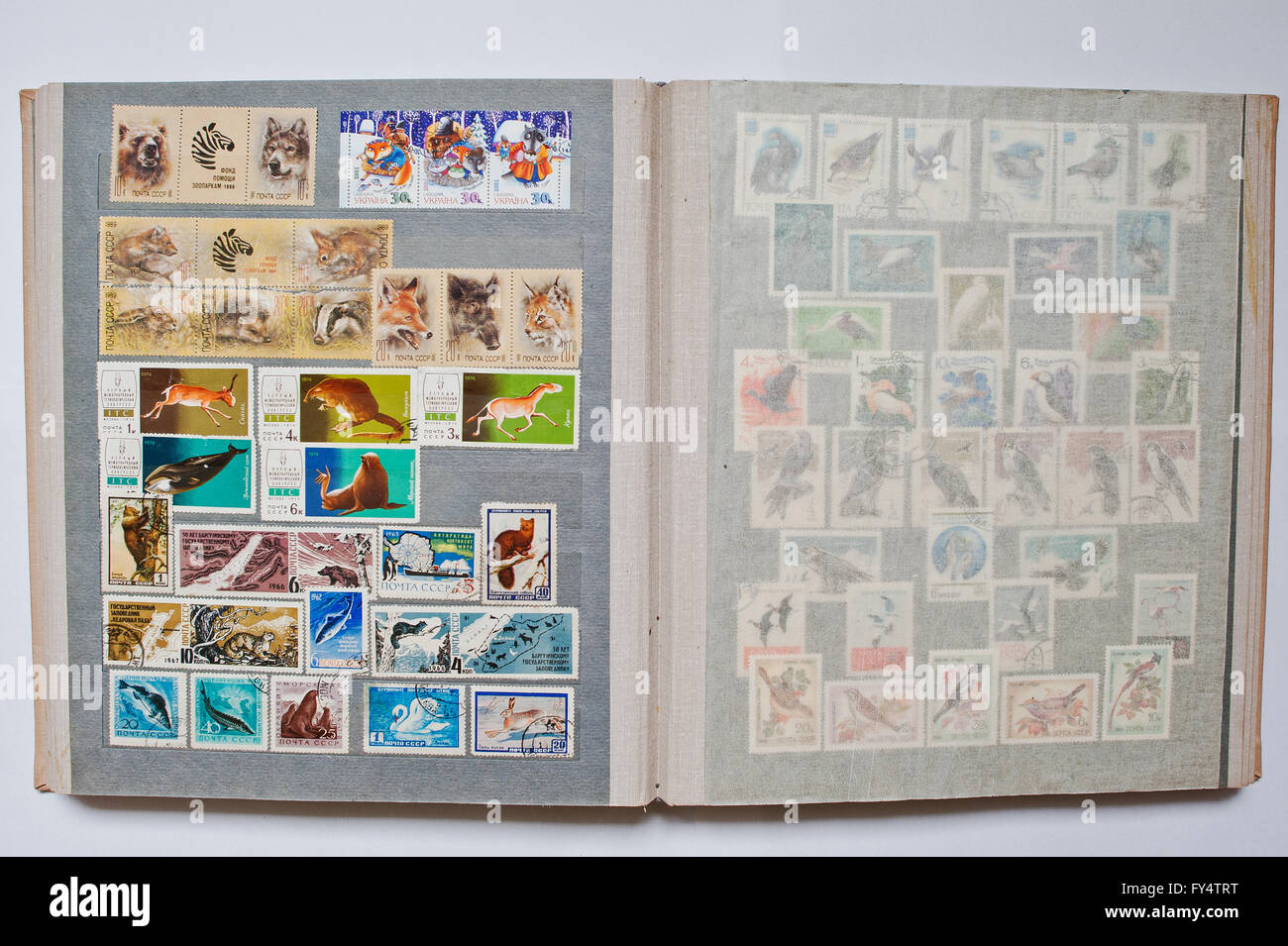 Book collection memories from hi-res stock photography and images - Alamy