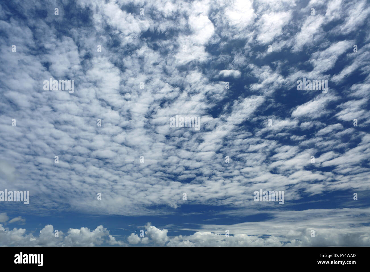 Altocumulus clouds in blue sky hi-res stock photography and images - Alamy