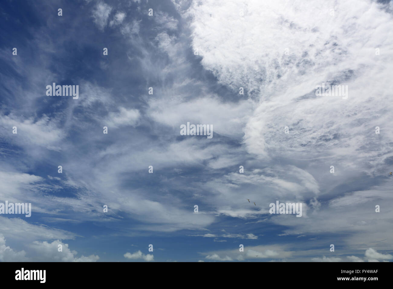 White, fluffy clouds in the blue sky Stock Photo