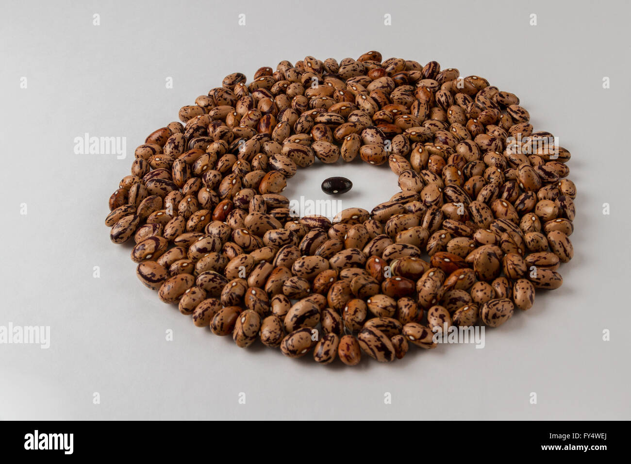 A single black bean in the middle of a circle of mottled beans Stock Photo