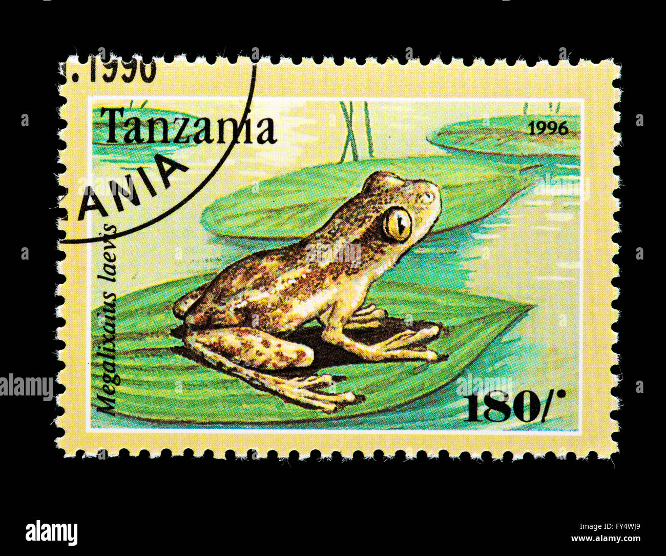 Postage stamp from Tanzania depicting a tropical frog (Megalixalus laevis) Stock Photo