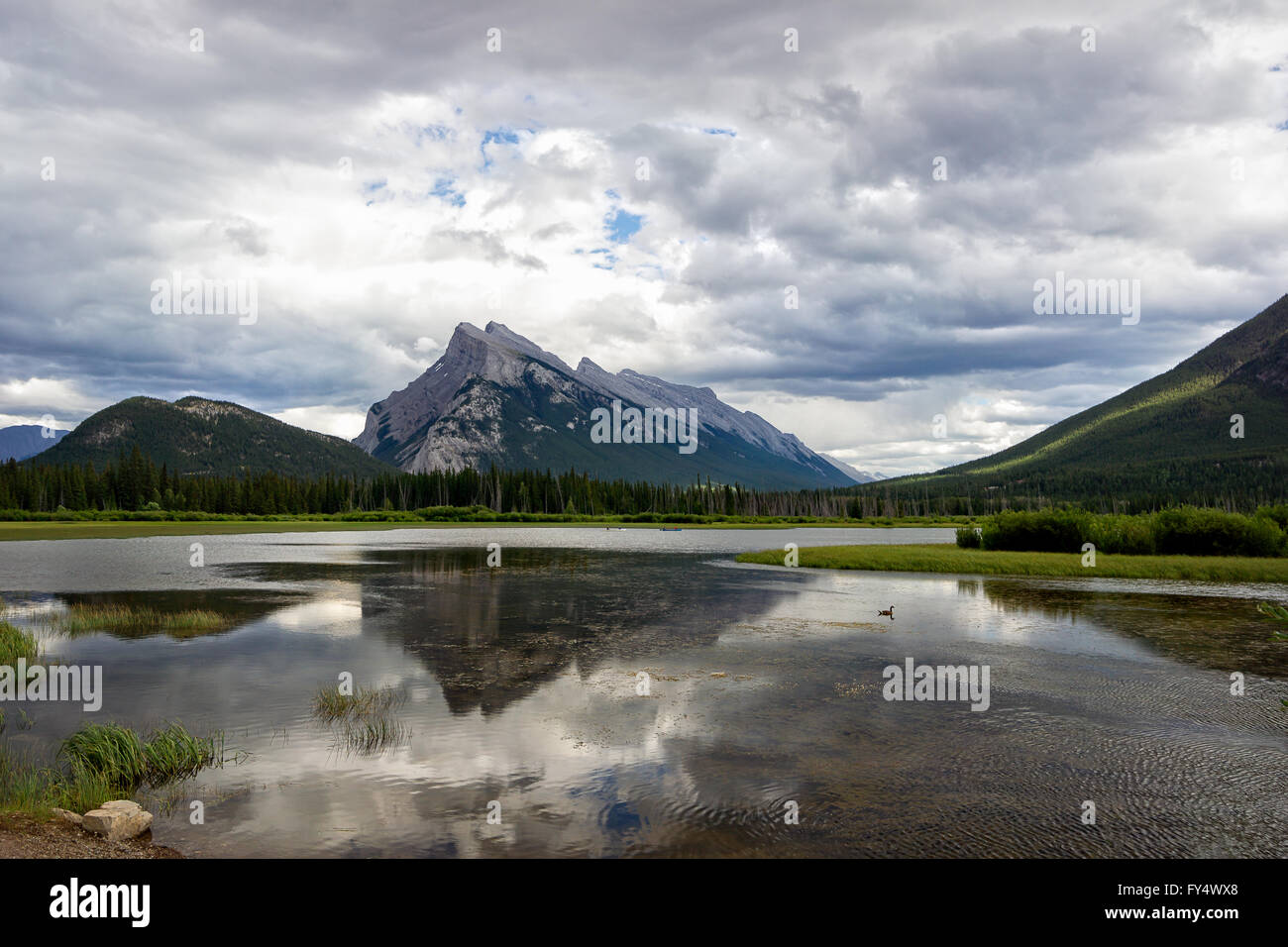 Mount Rundle at Vermillion Lakes, Banff National Park, Alberta Stock Photo