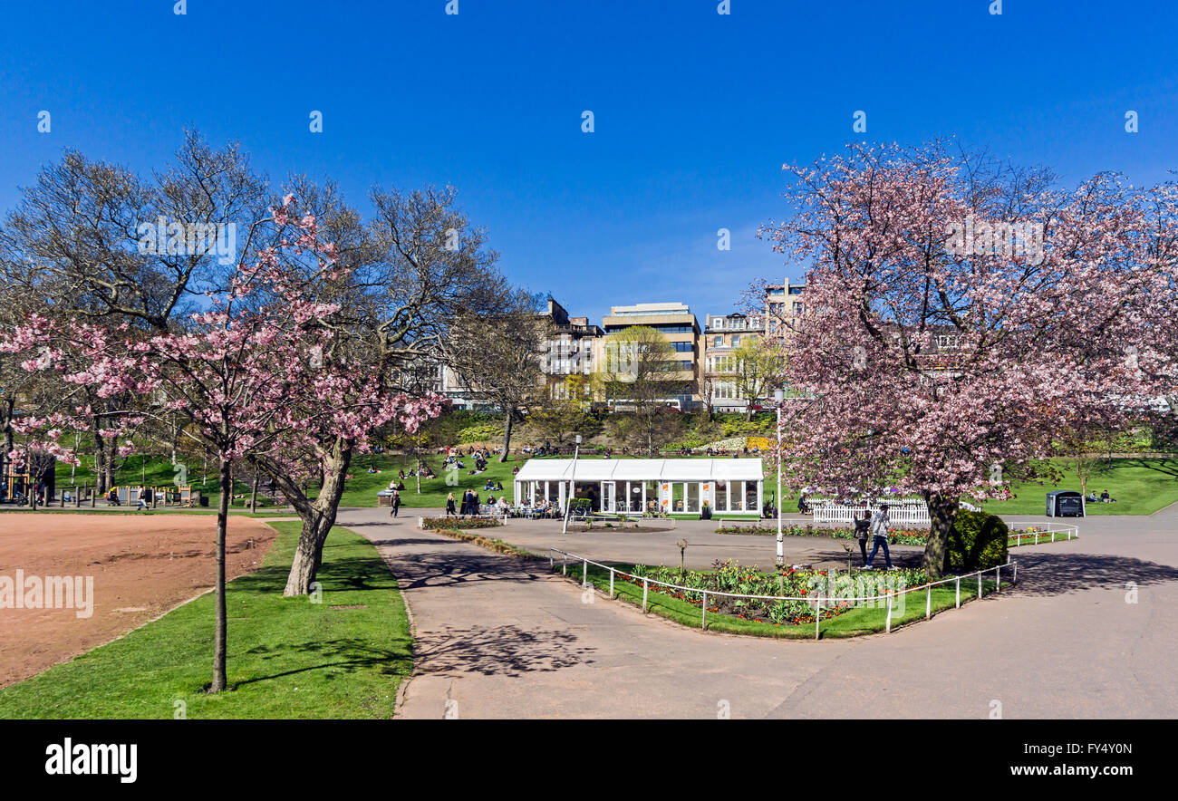 Princes Street Gardens West in Edinburgh Scotland with cherry trees and cafe Stock Photo